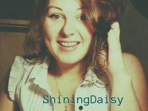 ShiningDaisy
