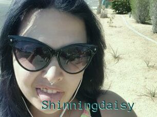 Shinningdaisy