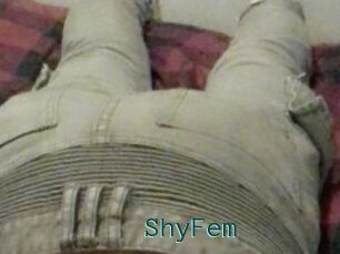 ShyFem