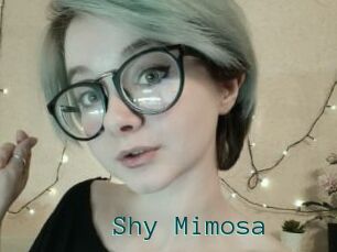 Shy_Mimosa