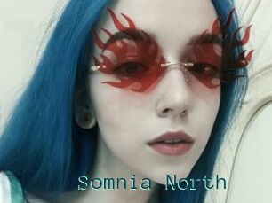 Somnia_North