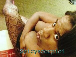 Spicyscorpio1