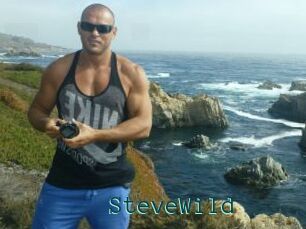 Steve_Wild