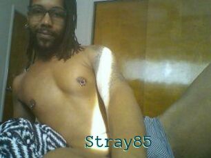 Stray85