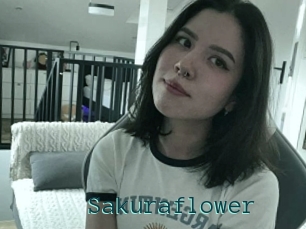 Sakuraflower