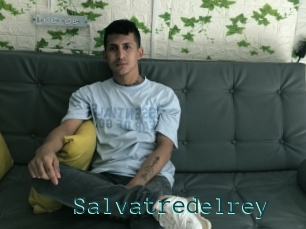 Salvatredelrey