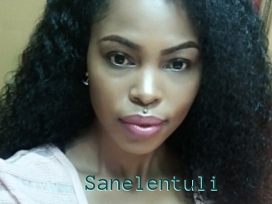 Sanelentuli
