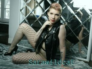 Sarawildcat