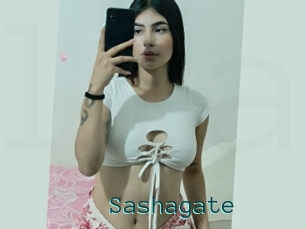 Sashagate