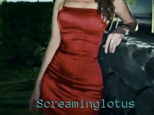 Screaminglotus