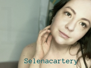 Selenacartery