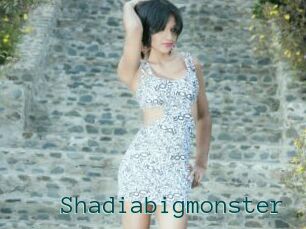 Shadiabigmonster