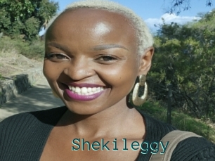 Shekileggy