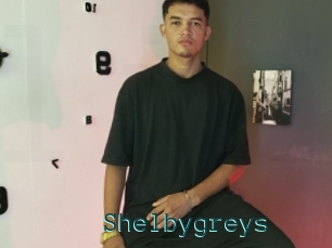 Shelbygreys