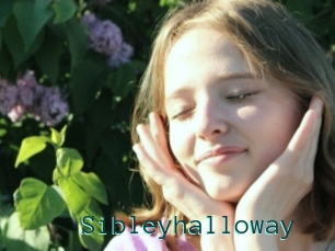 Sibleyhalloway