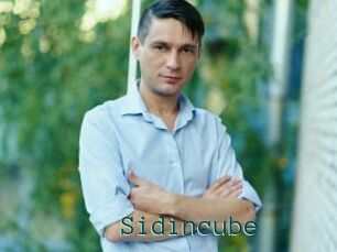 Sid_incube