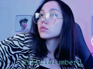 Silicialumberg