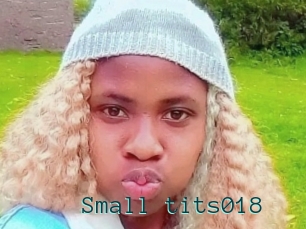 Small_tits018