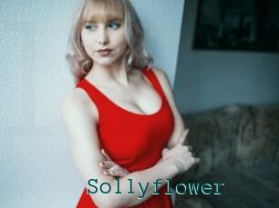 Sollyflower