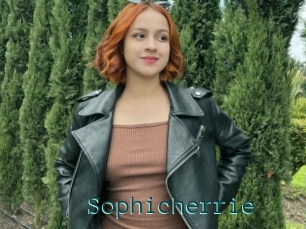 Sophicherrie