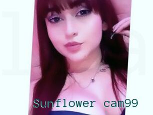 Sunflower_cam99