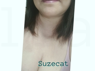 Suzecat