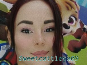 Sweetcattleya69