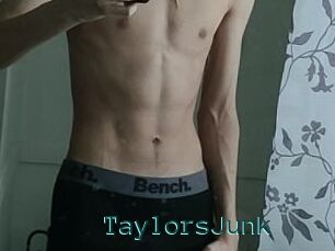 TaylorsJunk