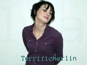 TerrificMerlin
