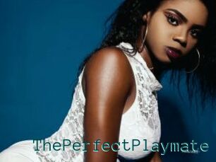 ThePerfectPlaymate