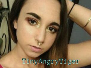 TinyAngryTiger