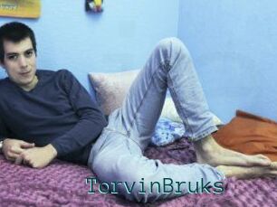 TorvinBruks