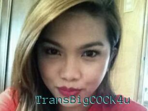 TransBigCOCK4u