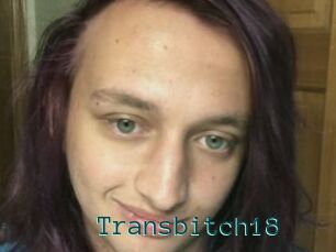 Transbitch18