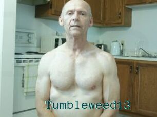 Tumbleweed13