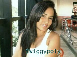 Twiggypoly