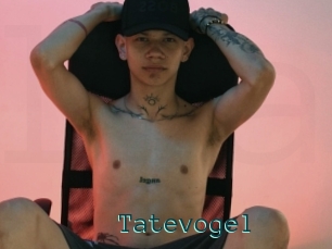 Tatevogel