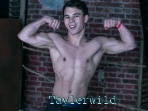 Taylerwild