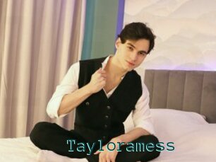 Tayloramess