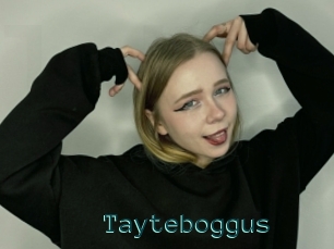 Tayteboggus