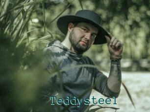 Teddysteel