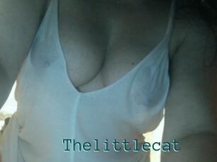 Thelittlecat