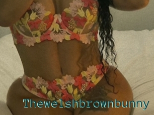 Thewelshbrownbunny