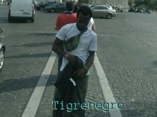 Tigrenegro