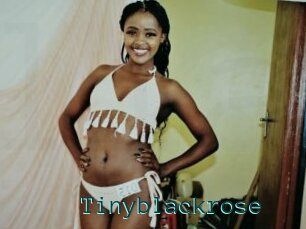 Tinyblackrose