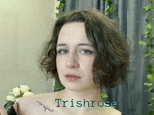Trishrose