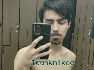 Twunkmikee