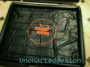 UnchartedSexion