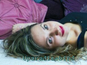 Uparadisebird