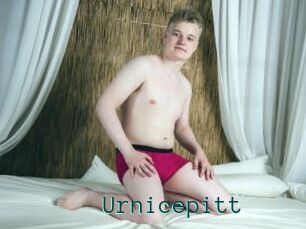 Urnicepitt